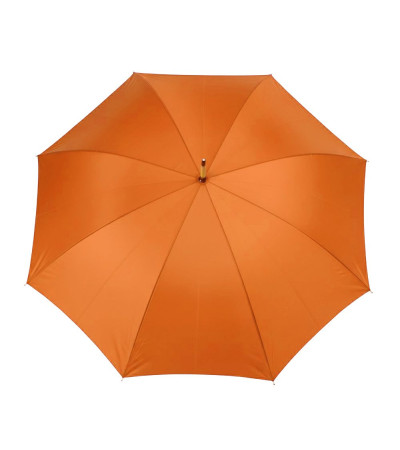 Парасоля-тростина напівавтоматична Bergamo Toprain