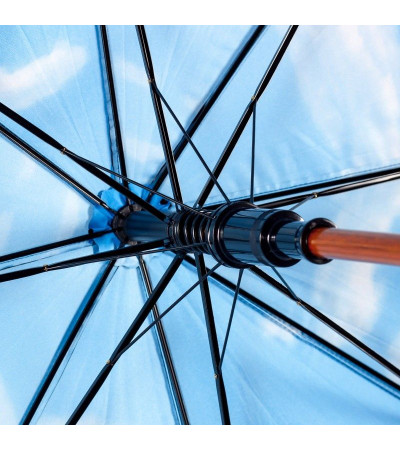 Сучасна парасолька тростина напівавтомат ТМ