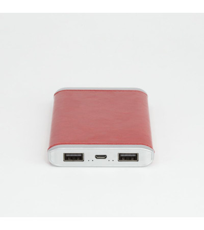 Power bank, 6000 мА/г, 2,1A, 2 USB, AL 6002