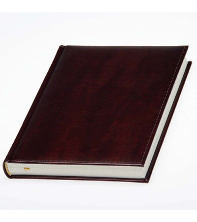 Щоденник хорошої якості, з назвою Небраска, в кремовому блоці, 830682, під тиснення