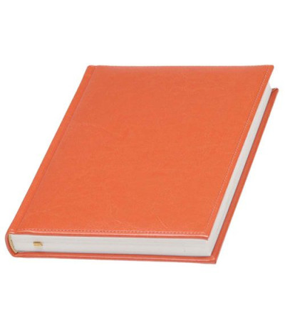 Щоденник хорошої якості, з назвою Небраска, в кремовому блоці, 830682, під тиснення