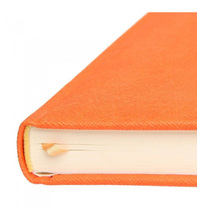 Аутентичный ежедневник с названием Прага, выполнен из Эко-кожи, датированный, под логотип