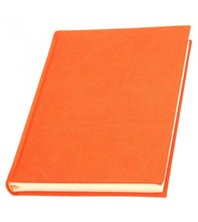 Аутентичный ежедневник с названием Прага, выполнен из Эко-кожи, датированный, под логотип