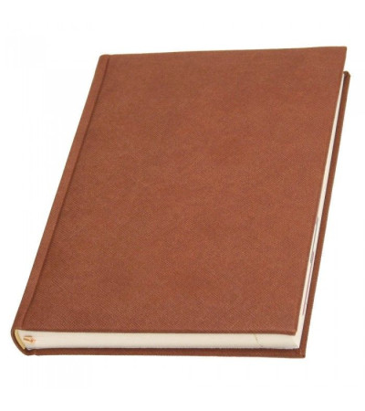 Аутентичный ежедневник с названием Прага, выполнен из Эко-кожи, датированный, под логотип