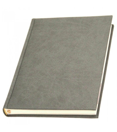 Аутентичный ежедневник с названием Прага, выполнен из Эко-кожи, датированный, под логотип