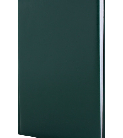 Ежедневник в компактном размере, формата А6, с названием Samba, под тиснение