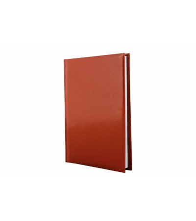 Щоденник з великою кількістю сторінок в літку, з назвою Flash, в недатованому виданні, під тиснення