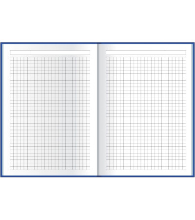 Щоденник з великою кількістю сторінок в літку, з назвою Flash, в недатованому виданні, під тиснення