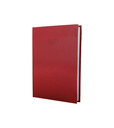 Дневник датированный SNAKE