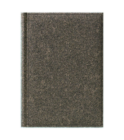 Ежедневник недатированный Oxido