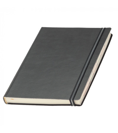 Ежедневник Дакар Премиум Эластик