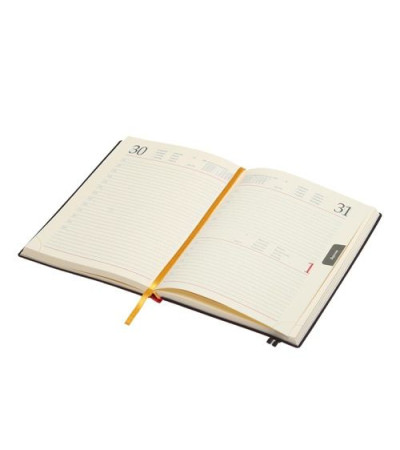 Щоденник 'Топ Сільвер' 831550