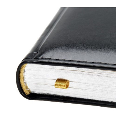 Щоденник 'Топ Сільвер' 831550