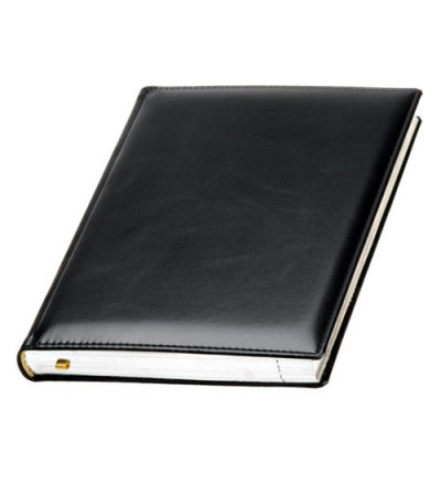 Щоденник 'Топ Сільвер' 831550