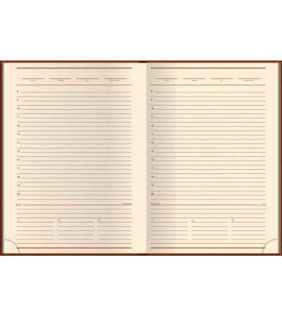 Ежедневник полудатированный, А5, Nebraska