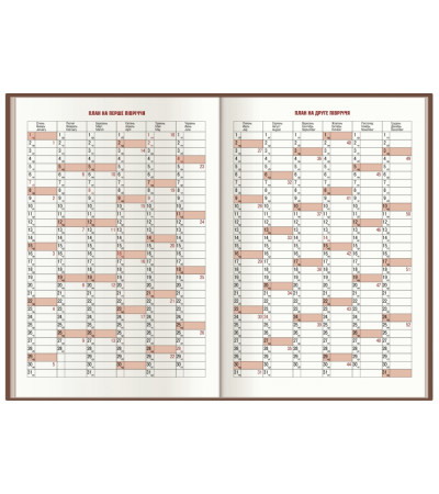 Дневник CROSS датированный А5