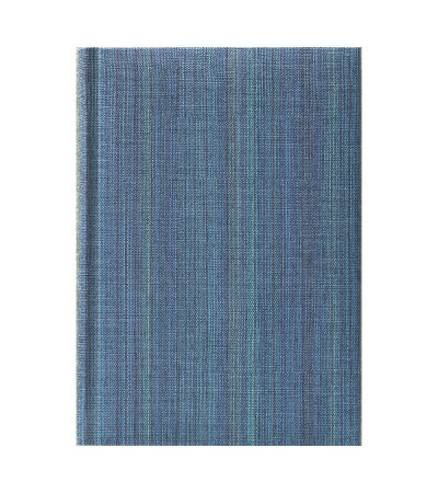 Ежедневник 'Web'