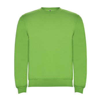 Реглан Clasica 280 ТМ Roly