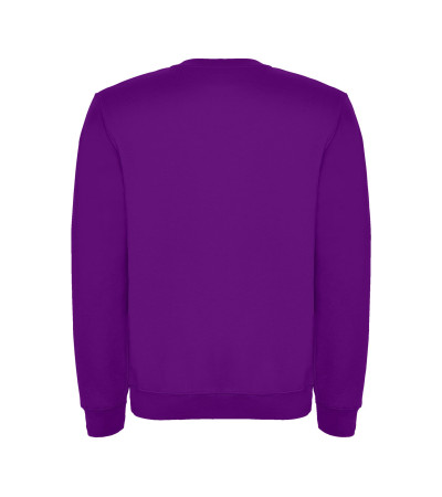 Реглан Clasica 280 ТМ Roly